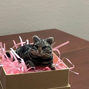 Judy added a photo of their purchase