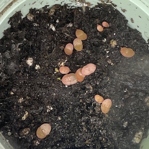 Jeffery added a photo of their purchase