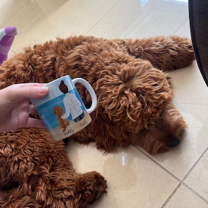 Teddy added a photo of their purchase