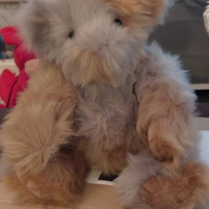 tina ha aggiunto una foto del proprio acquisto