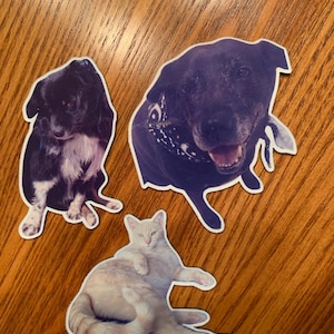 Allie added a photo of their purchase
