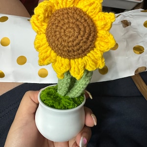 quenia added a photo of their purchase