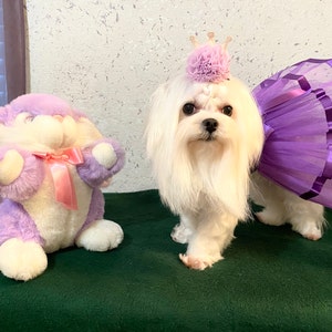 Martha added a photo of their purchase