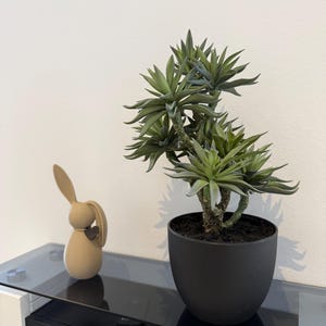 Markus added a photo of their purchase
