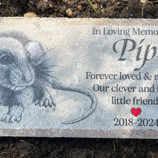 Rat Memorial Stone- Personalized Pet Keepsake- Pet Loss Gift - Custom