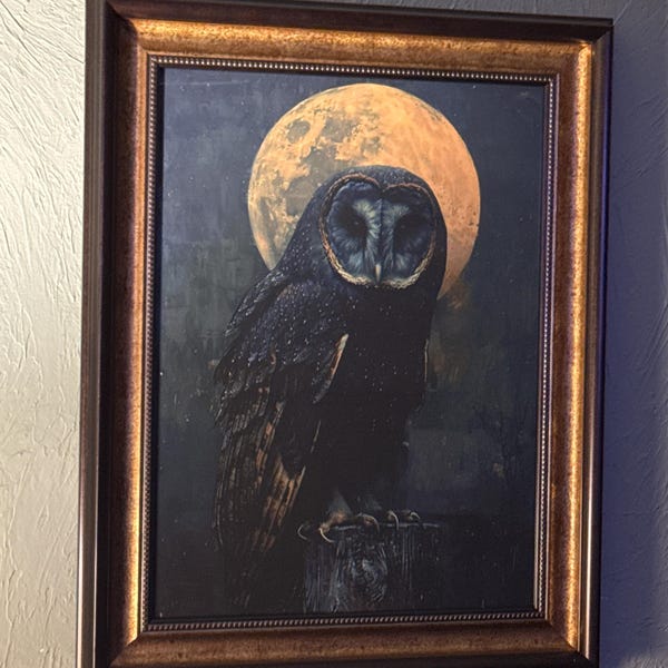 Barn Owl Art Print: Gothic Halloween Witch Decor - Etsy