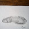 custom-penis-drawing-in-ink-black-line-art-abstract-style-etsy