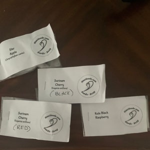 Dynamofurry added a photo of their purchase