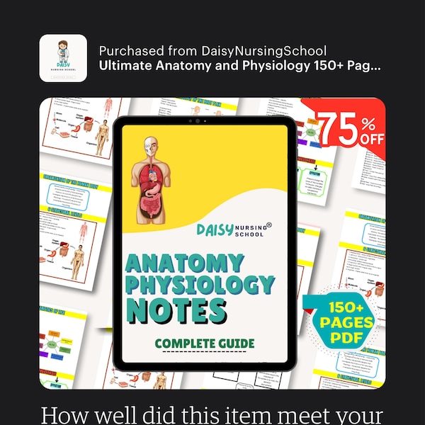 Anatomy Physiology Study Guide Nursing Notes Bundle Digital Anatomy Physiology Study Guide Nursing Notes Bundle Digital