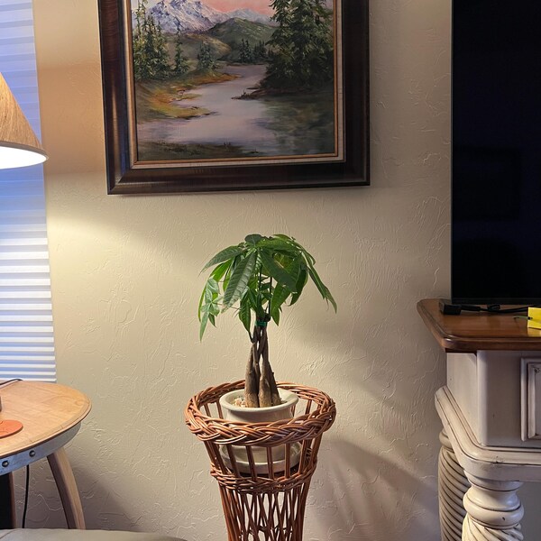 Pet Heaven - Letto Per Cani Di Grandi Dimensioni - Owi Pet - Foto 4