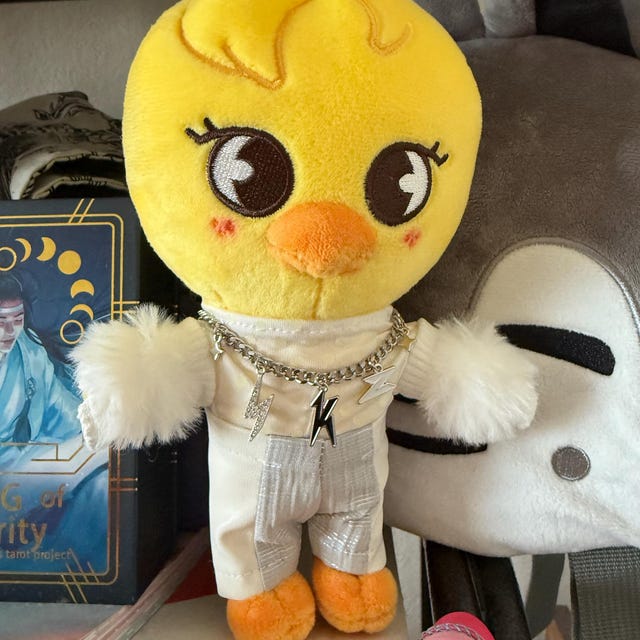 Stray Kids Felix BbokAri SKZOO official stuffed mini plush