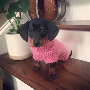 etsy dachshund sweater