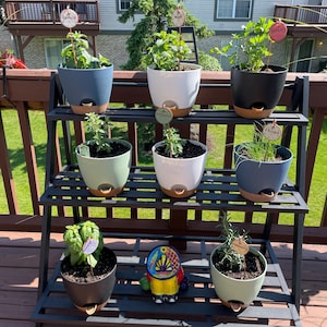 Lisa added a photo of their purchase