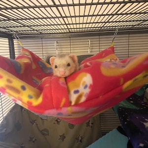kelsey added a photo of their purchase