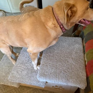 Shanlyn added a photo of their purchase