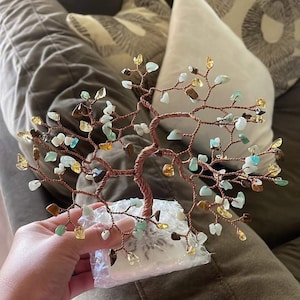 Kristine added a photo of their purchase