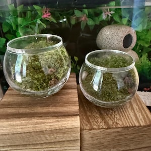 Kim ha añadido una foto de su compra