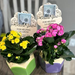 Sarah added a photo of their purchase