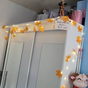 Megan added a photo of their purchase