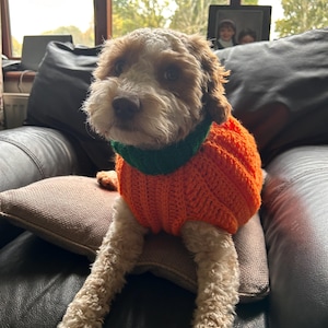 Lucy added a photo of their purchase