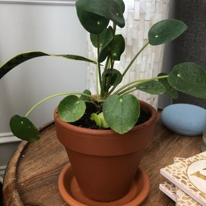 Jenny added a photo of their purchase