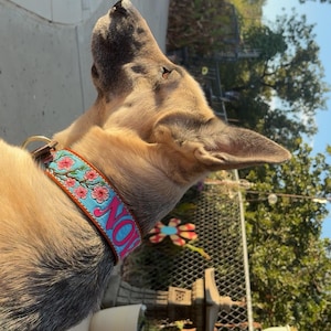 Audrey added a photo of their purchase