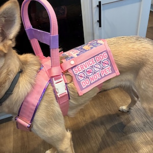 Lois added a photo of their purchase
