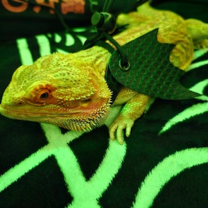 Rin added a photo of their purchase