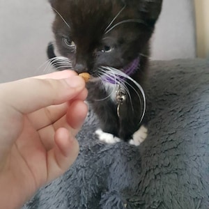 Nicole added a photo of their purchase