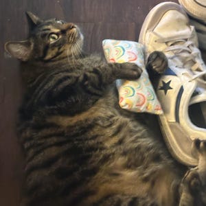 Sarah added a photo of their purchase