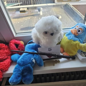 J.S.R. added a photo of their purchase