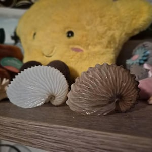 LeeAnn added a photo of their purchase