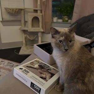 cricket added a photo of their purchase