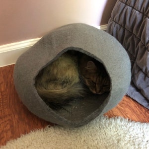 Meg added a photo of their purchase
