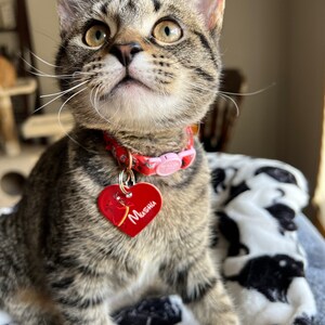 Molly ha añadido una foto de su compra