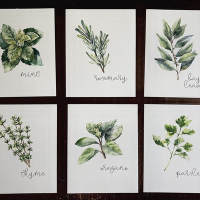 Kitchen Herbs Art Prints Botanical Prints set of 6 8x10s - Etsy