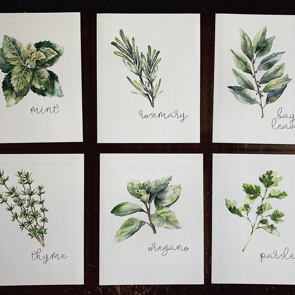 Kitchen Herbs Art Prints - Botanical Prints - (set of 6) - 8x10s - Etsy