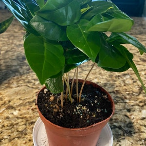 Marilyn added a photo of their purchase