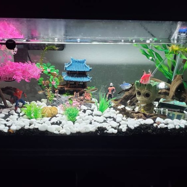 Marvel fish cheap tank decorations