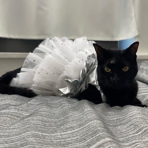 Liz added a photo of their purchase