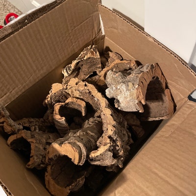 Cork Bark Rounds 2 Lbs Animal Hides in a Terrarium / - Etsy