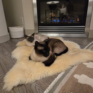 Elise added a photo of their purchase