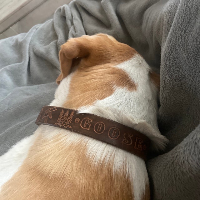 Leather and Gemstone Handcrafted Dog Collars by SoulDogDesigns