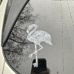 Mary added a photo of their purchase