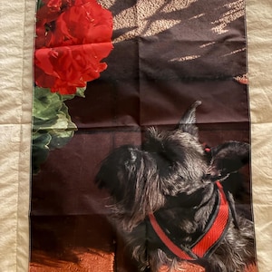 Sharon added a photo of their purchase