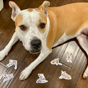 Leslie added a photo of their purchase