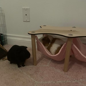 Tiffani added a photo of their purchase