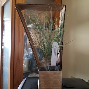 Cheri added a photo of their purchase