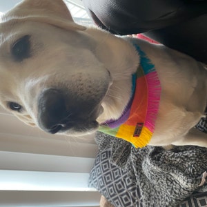 Gabrielle ha añadido una foto de su compra