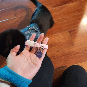 Frida added a photo of their purchase